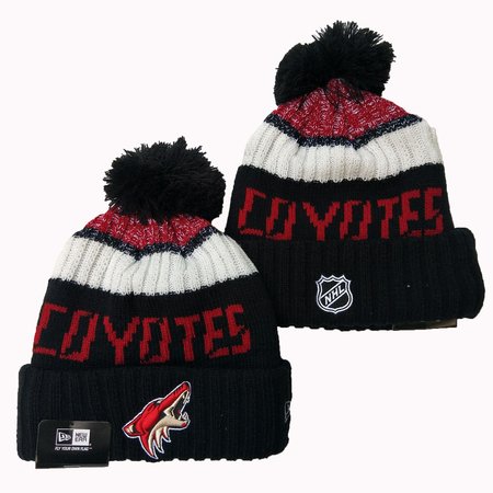 Arizona Coyotes Knit Hat