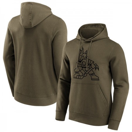 Men's Arizona Coyotes Khaki Iconic Preferred Logo Graphic Hoodie